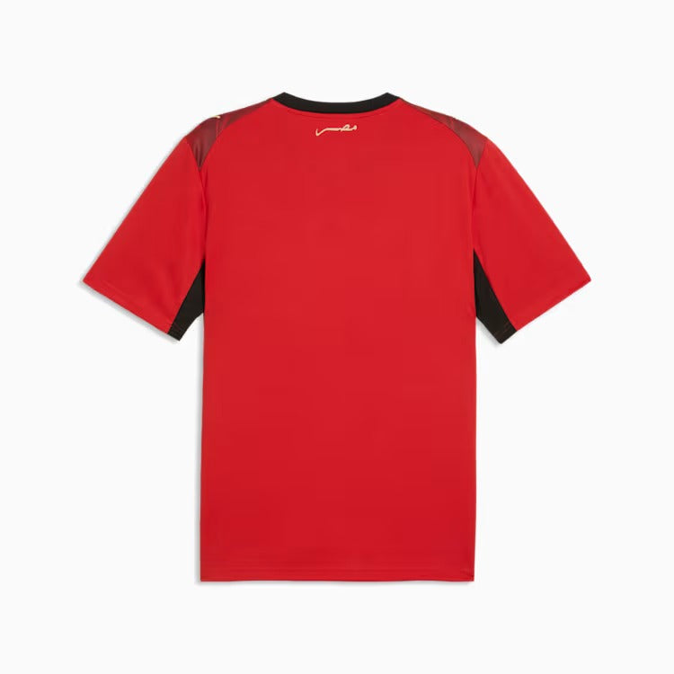 Egypt 2026/27 Home Jersey - image 6