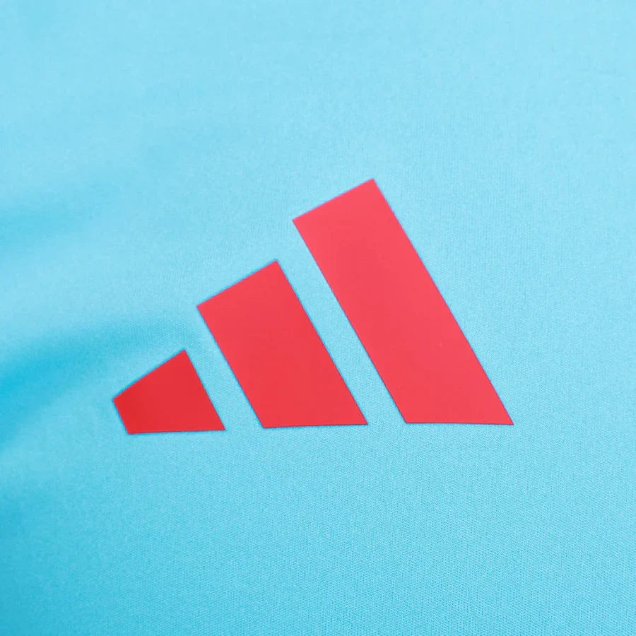 Camisa Flamengo Treino 2025 - image 3