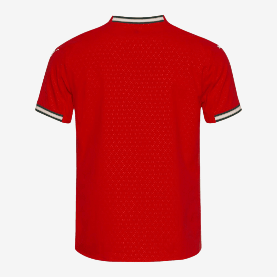 Puma Portugal 2025 I Player Jersey - image 2