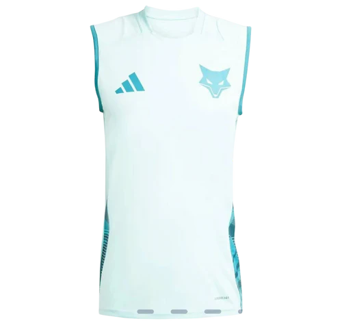 Regata Cruzeiro Training Fan Jersey 2024/25