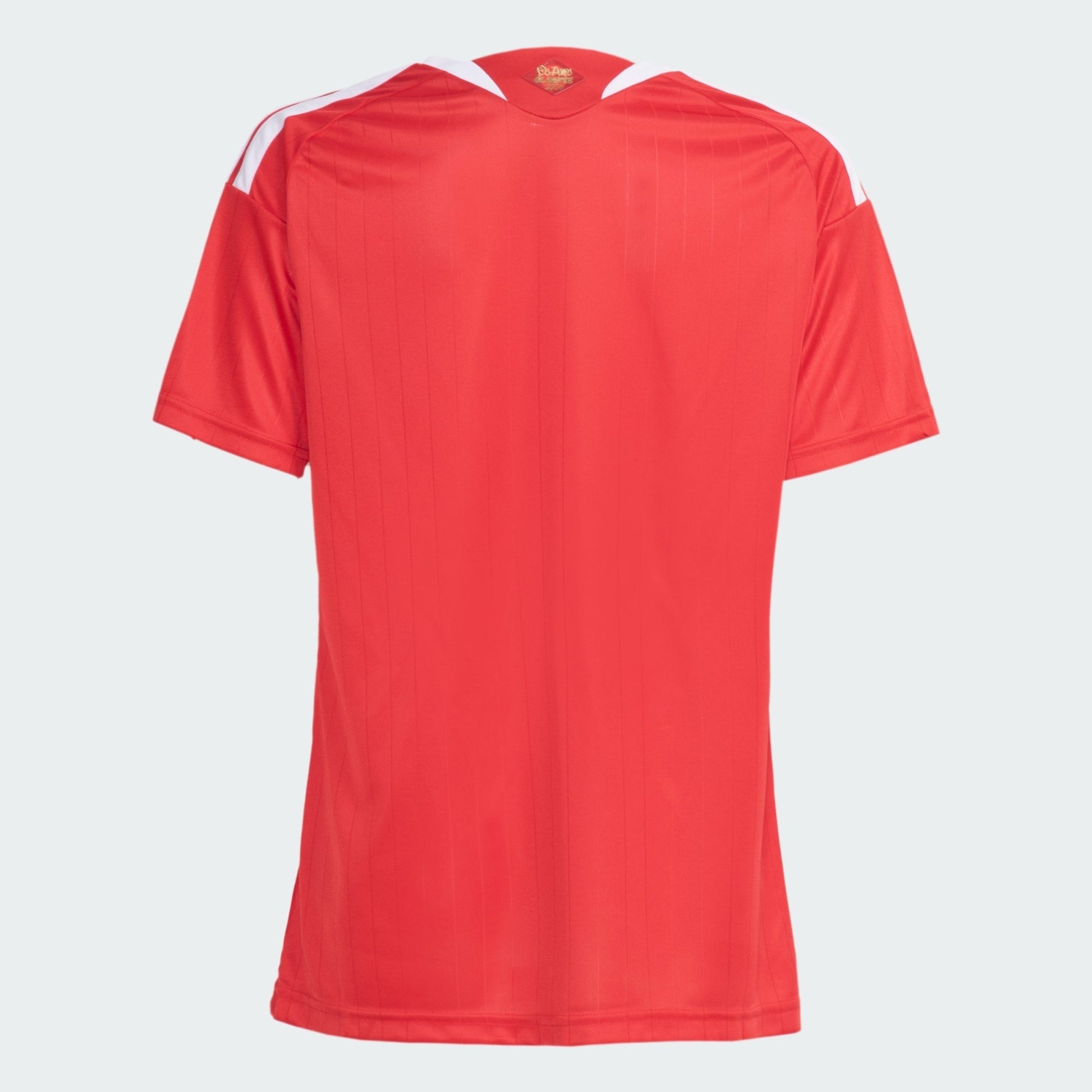Women Jersey Internacional 2026/27 Home - image 2