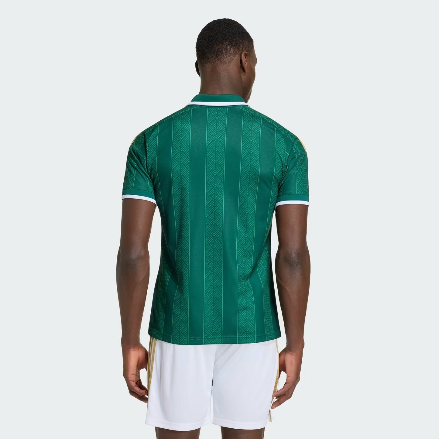 África do Sul 2026/27 Home Jersey - image 2
