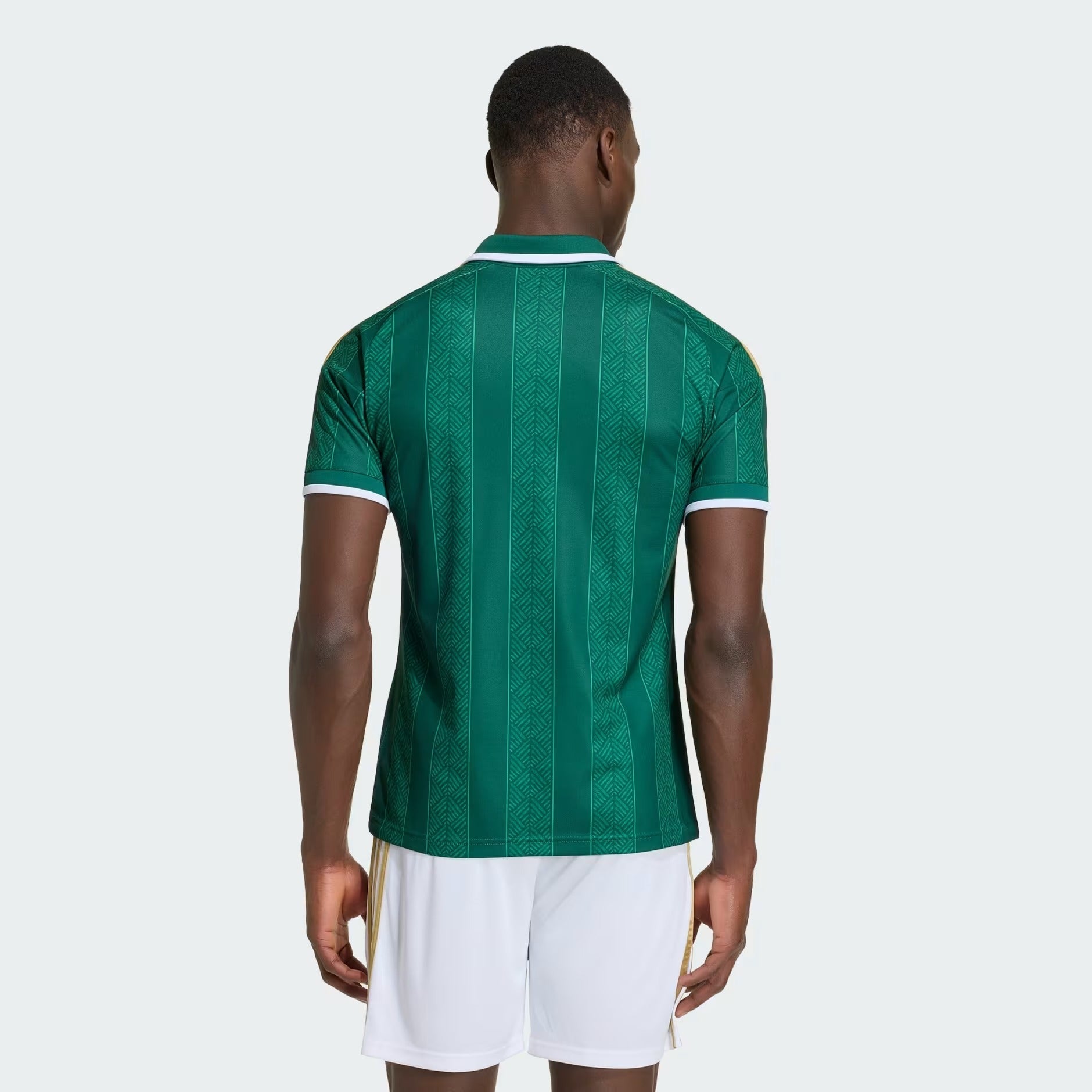África do Sul 2026/27 Home Jersey - image 2