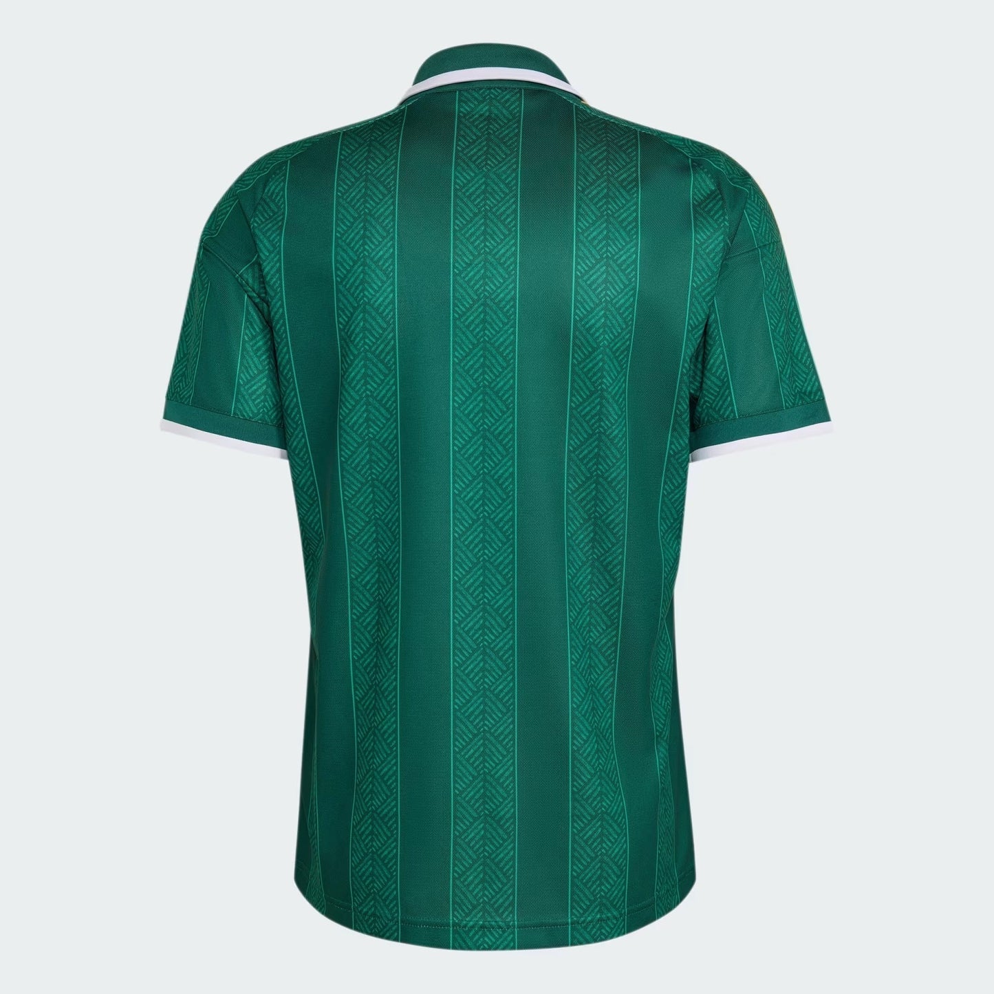 África do Sul 2026/27 Home Jersey - image 6