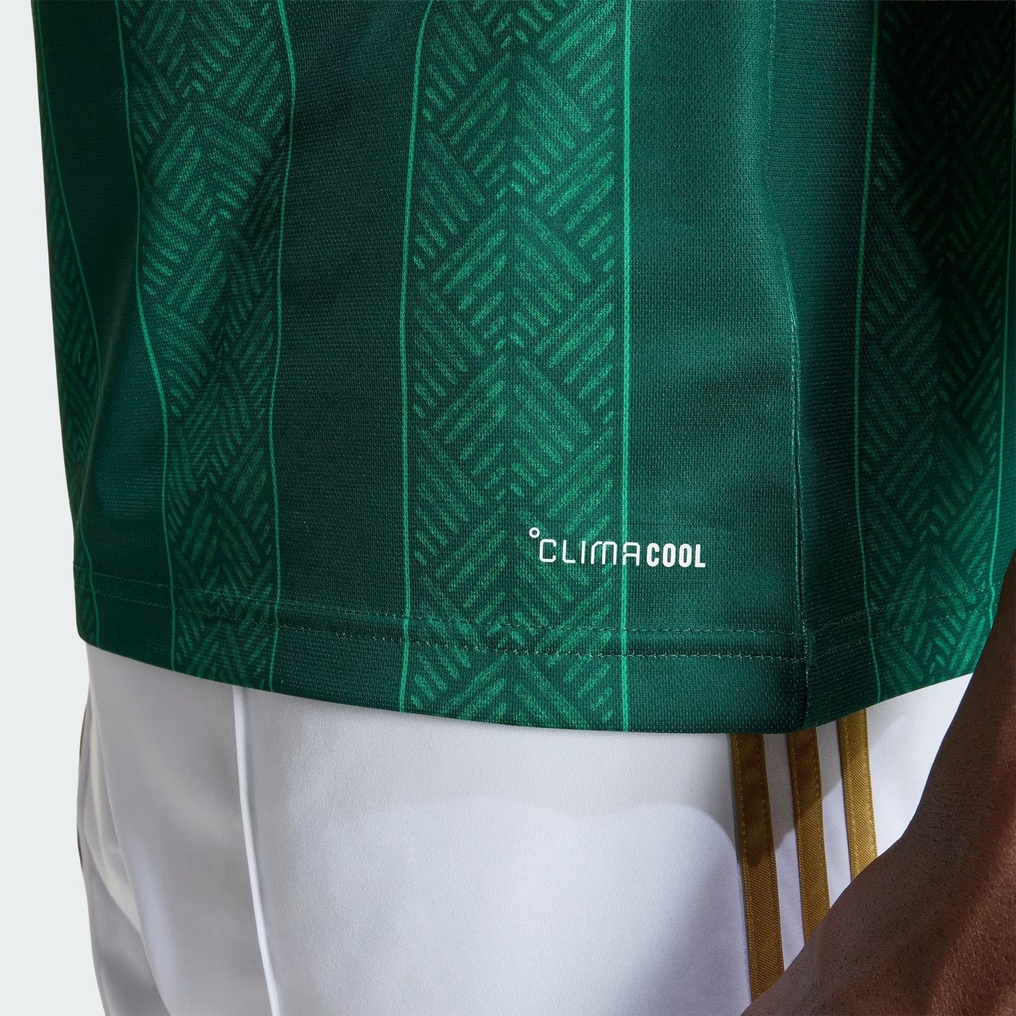 África do Sul 2026/27 Home Jersey - image 3