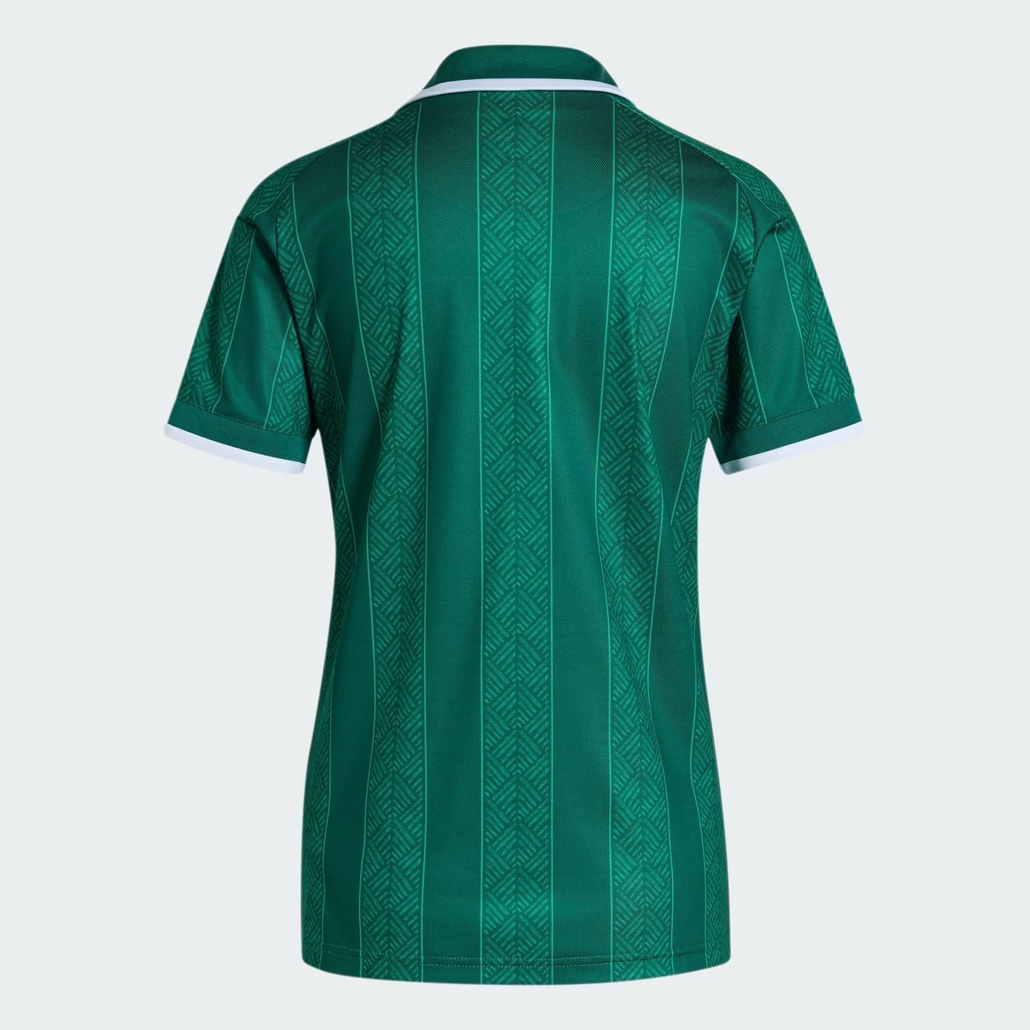 Women Jersey África do Sul 2026/27 Home - image 5