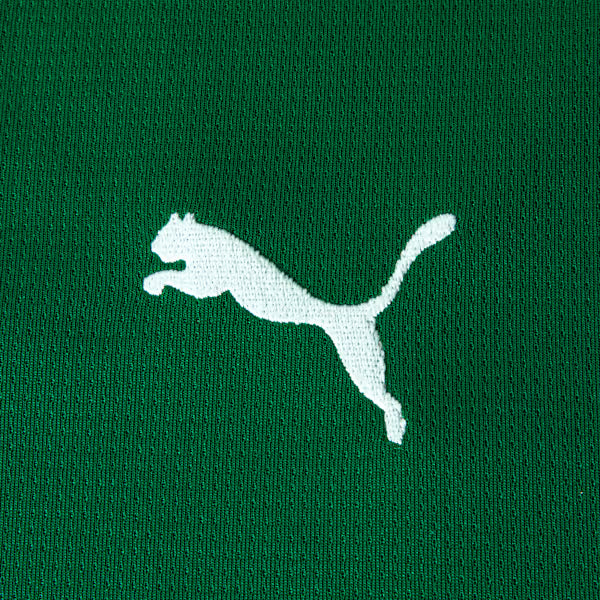 Kids Kit Palmeiras 2026/27 Home - image 12